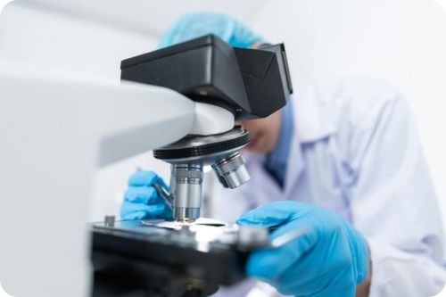 Τελευταίες εταιρικές ειδήσεις για Πολιτική αναταραχή: Νέος ηγέτης εκλέγεται σε απροσδόκητη αναστάτωση